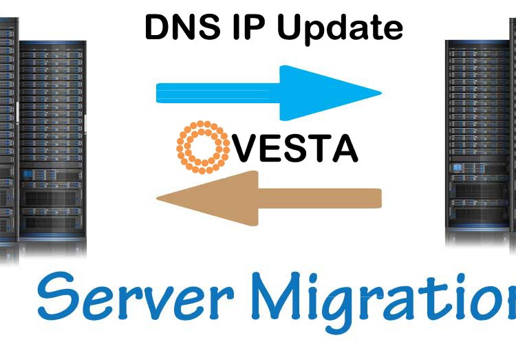 VetstaCP DNS IP Update after Server Migration